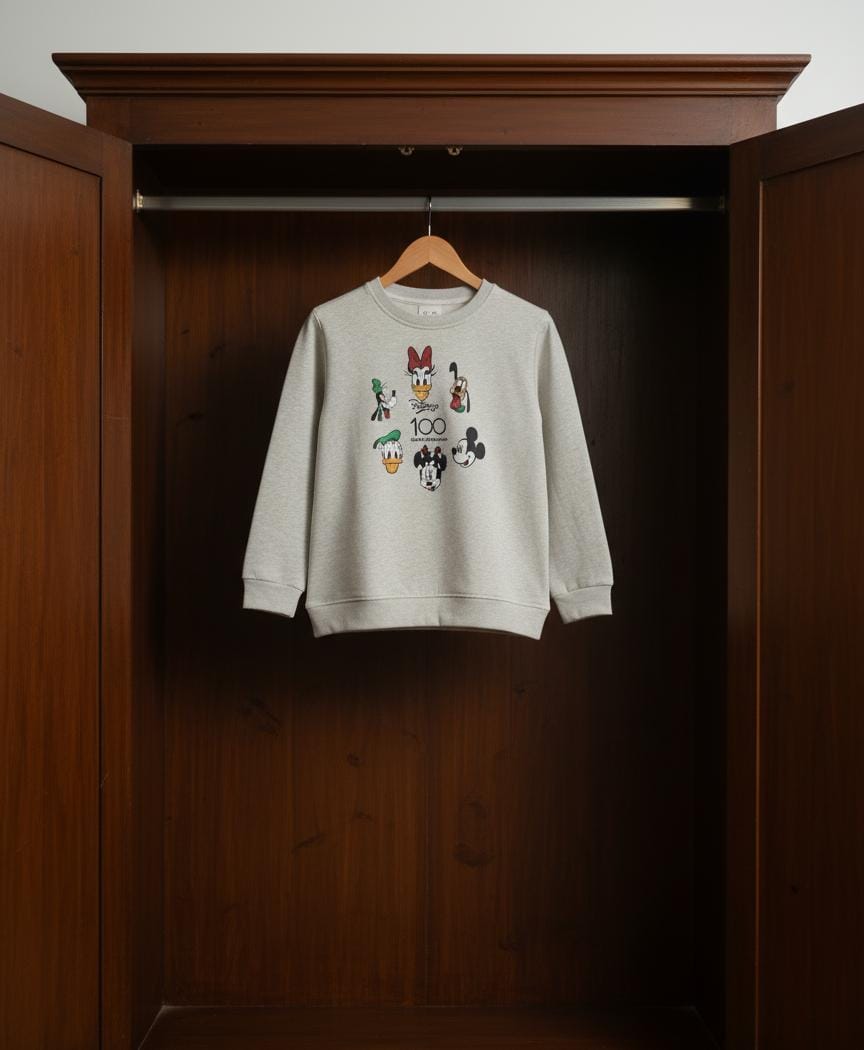 Gray sweatshirt with cartoon character designs hanging in a wooden wardrobe.