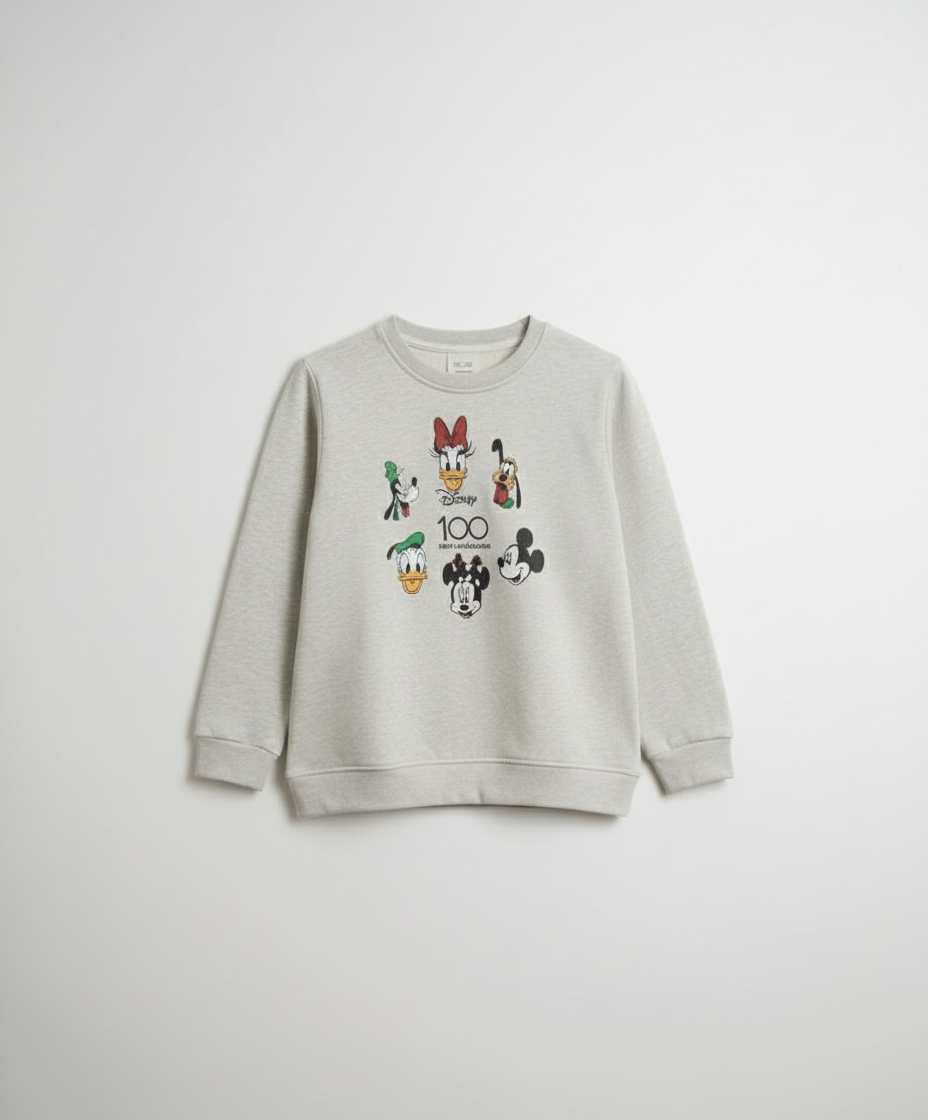 Gray sweatshirt with cartoon character graphics on a white background
